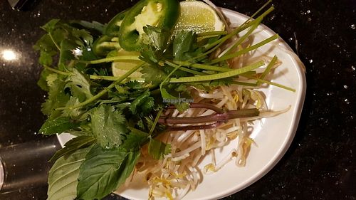 Pho  at Pho Saigon in Anchorage