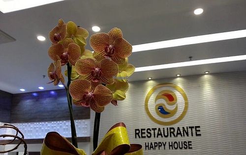 happy house brasilia at Happy House in Brasilia