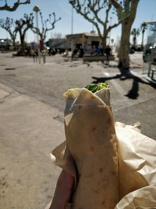 vegan kebab at Green Vibes - Food Trailer in Cannes