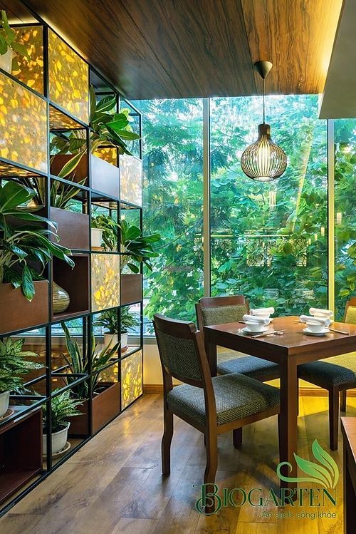 Beautiful interior design, green corner, feel relaxing in a busy city at Biogarten Restaurant in Ho Chi Minh City