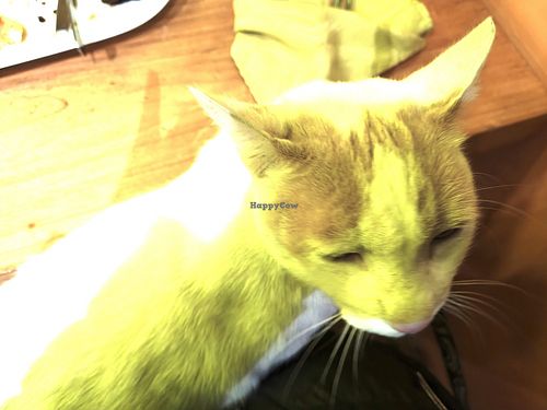  at El Maple in Quito