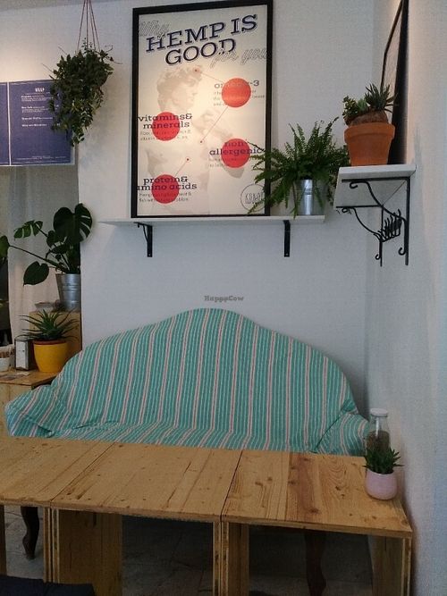 confy couch at KONOÏ Hemp Milk Bar in Vienna