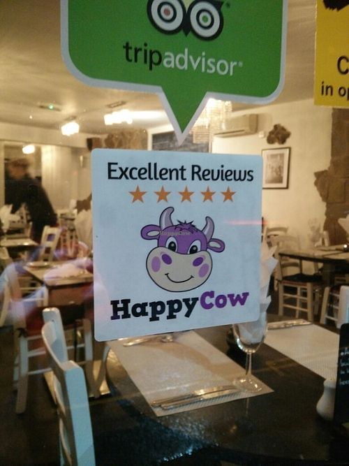 Very Happy Cow at Luna Rossa in Sheffield