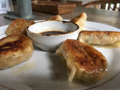 Vegetarian dumplings at Veggie Karma in Ubud