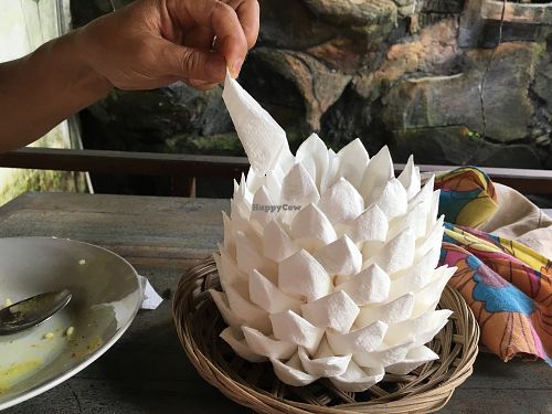 Origami flower napkin dispenser  at Veggie Karma in Ubud
