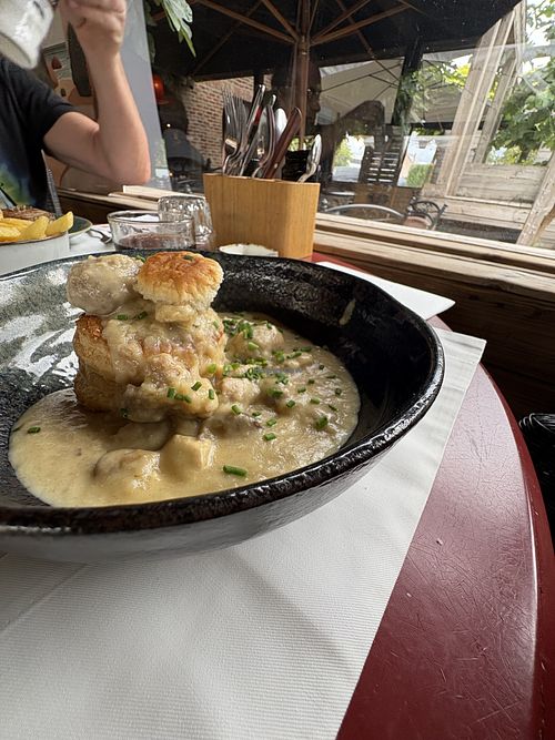   at Zuiderhuis in Noorderwijk