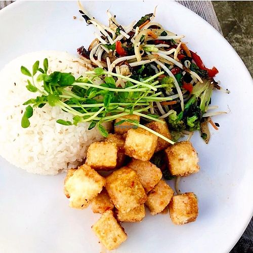 tofu at The Whet Noodle  in Oceanside