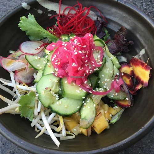 cucumber salad  at The Whet Noodle  in Oceanside
