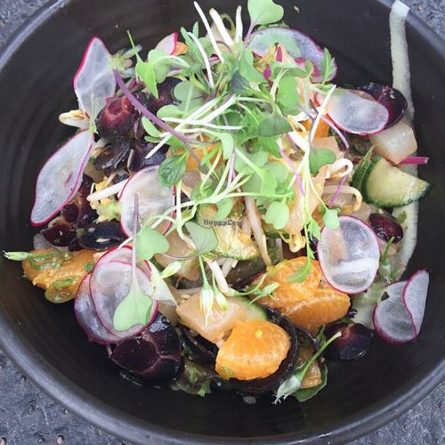 avocado citrus salad  at The Whet Noodle  in Oceanside