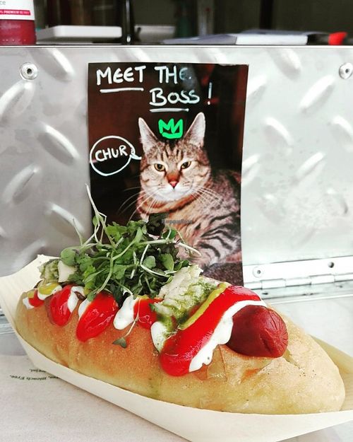 The V-Dog with aioli, tomato sauce, mustard, vegan cheese, caramelized onion, pesto on a delicious soft bun.  at Mr Jackson's Plant Based Food Truck in Tauranga