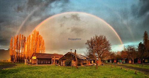 A nice view we got after a rain ;) at Mundo Elefante in Pucon