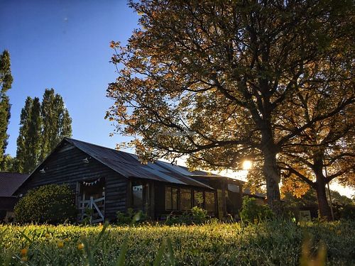 Start your day the best way! We got the best options for breakfast ;) at Mundo Elefante in Pucon