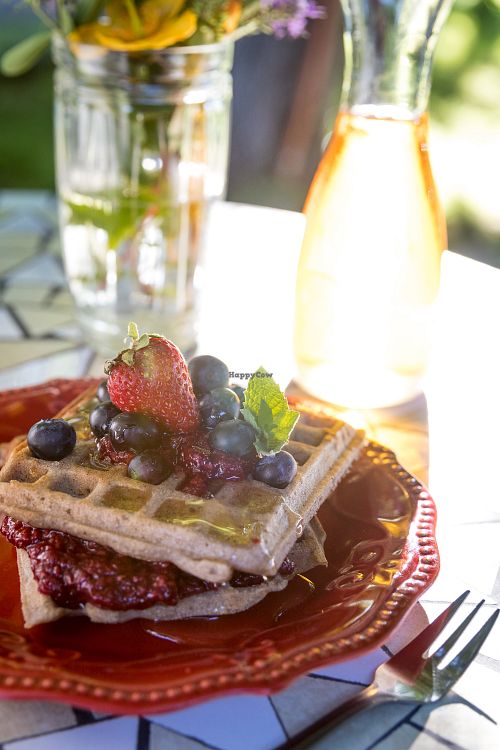 All you may need to have breakfast in Pucón is this vegan waffle! GF at Mundo Elefante in Pucon