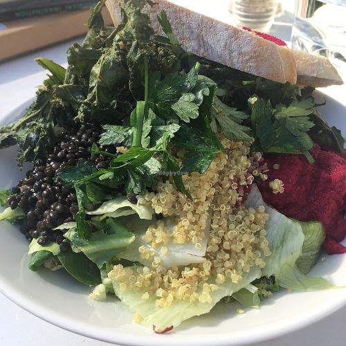 beetroot & quinoa salad at Espresso Edge in Helsinki