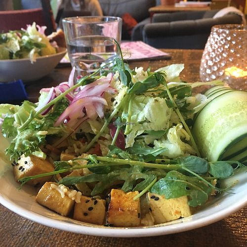 Vegan curry at Espresso Edge in Helsinki