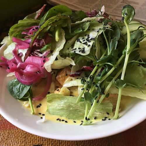 Curry at Espresso Edge in Helsinki