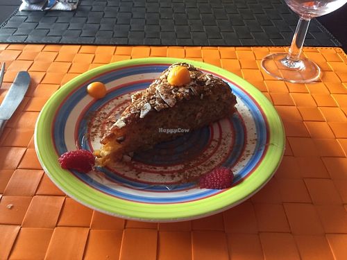 The best vegan carrot cake ever at Arvore do Mundo in Porto