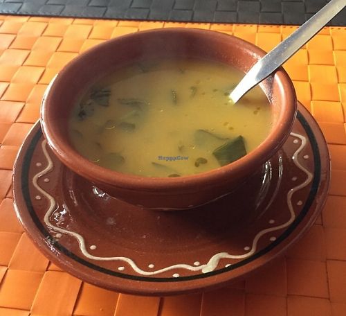 Watercress soup, so tasty! at Arvore do Mundo in Porto