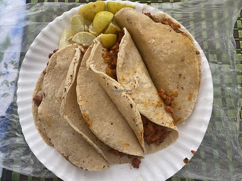 Take-Away Order of Vegan Cochinilla Asada Tacos (Messy but Tasty)  at Los Alebrijes Veg in Mexico City