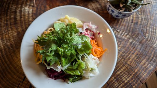 salad that came with the lasagne at The Grain Mill - Organic Bistro and Shop in Knysna