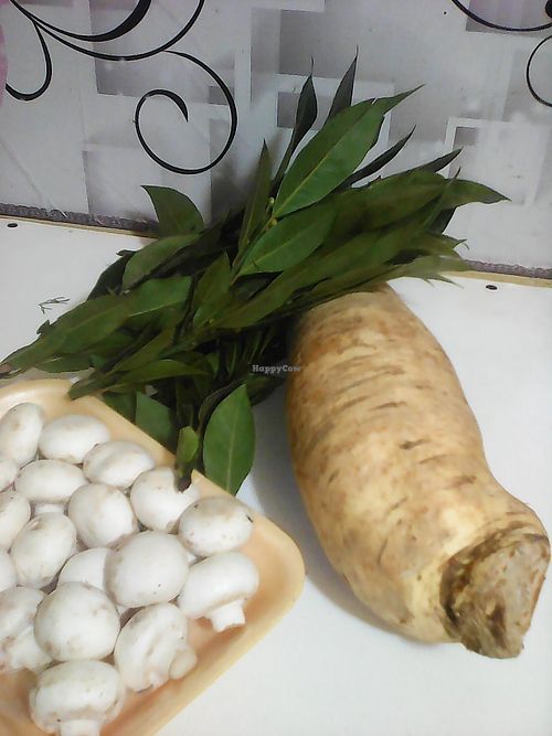Laurel y champiñones frescos, arracacha, parecido a la papa pero un poco mas dulce, preparando un rico puré de arracachas, servido con milanesa de carne vegetal, o tortilla con champiñones at Giordano Restaurant Vegetariano in Lima
