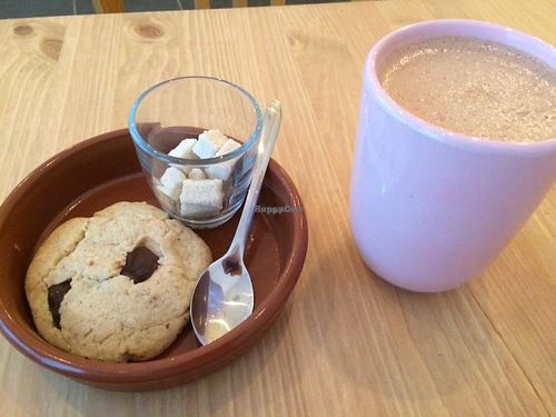 P'tits Poissons Verts, Vegan Organic restaurant near all the best tourists spots in Nimes! at Les P'tits Poissons Verts in Nimes