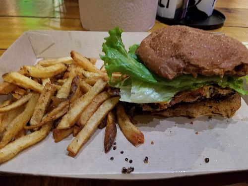 Veggie bean burger with fries at Twisted Root Burger in Waco