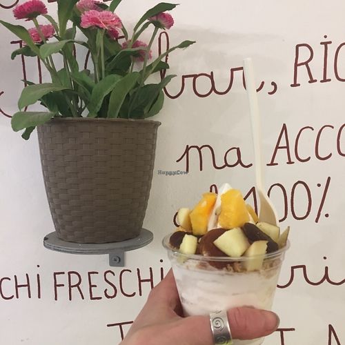 Vegan frozen yogurt at Sorbole in Bologna