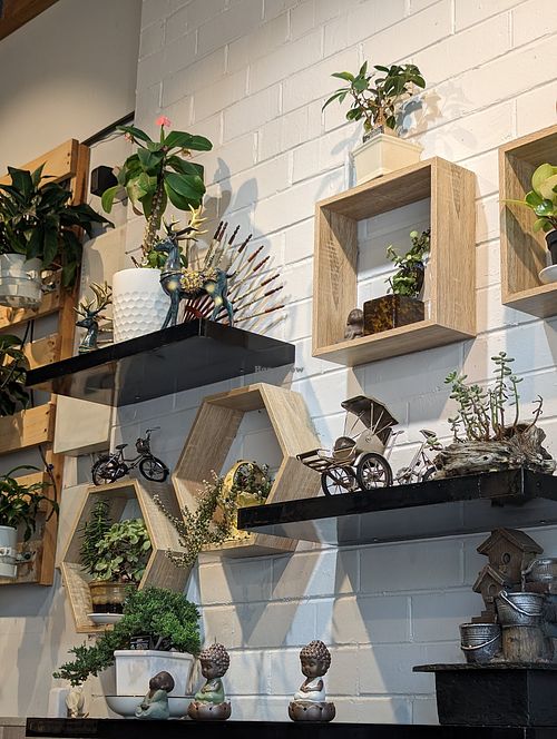 cute interior - real plants, and they've expanded the dining room into the next shopfront so there's plenty of seating at Huong Viet in Footscray
