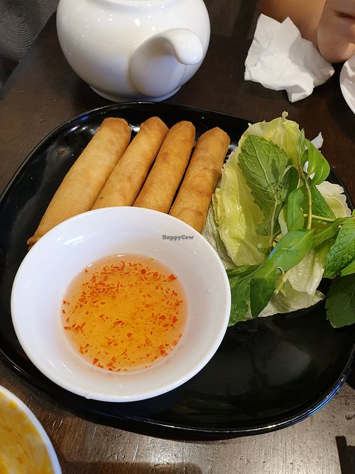 Spring rolls at Huong Viet in Footscray