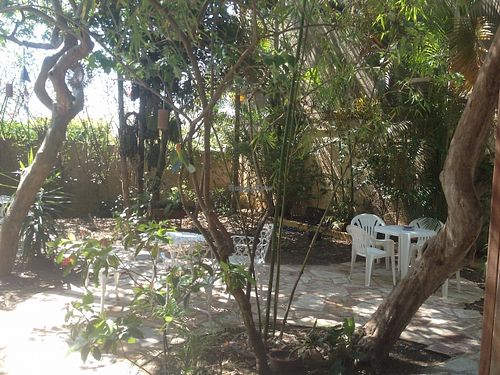 Garden at Frutti's in Abadiania