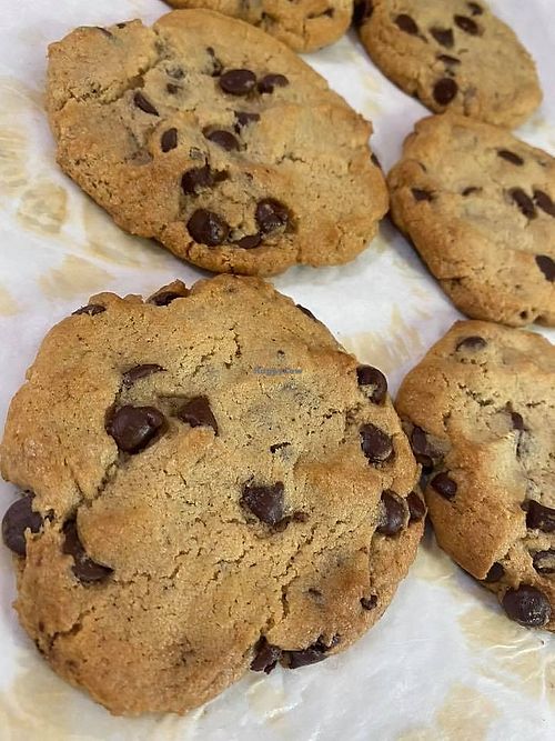 Vegan Chocolate Chip cookies

 at The Talented Cookie in High Springs