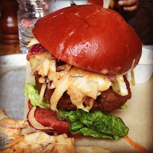 Beef style burger with coleslaw... £11 without fries! at BrewDog in Aberdeen