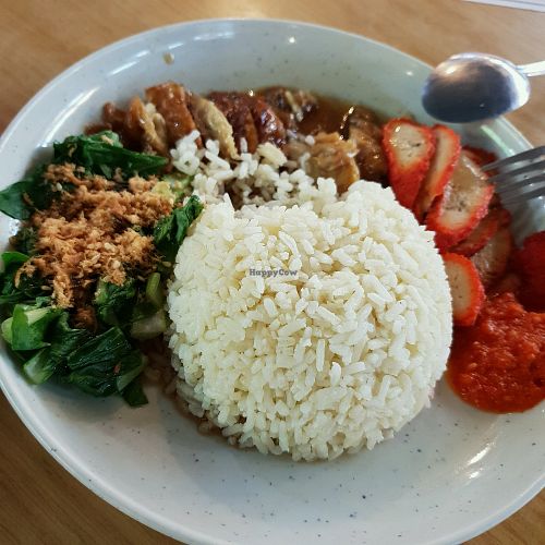 g rice at Vegetarian Delights in Penang