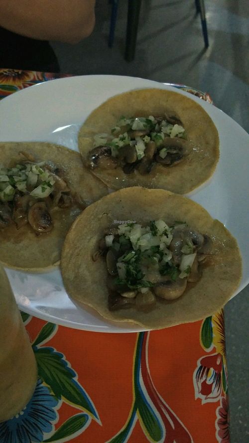 Quetzal at Quetzal - Cocina Mexicana in Barcelona