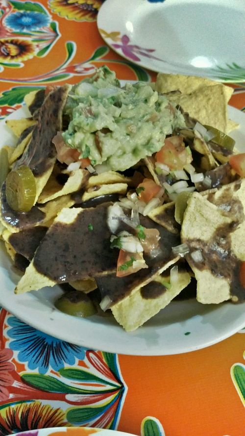 Quetzal at Quetzal - Cocina Mexicana in Barcelona