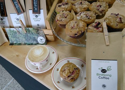 a delicious bird-friendly coffee with vegan cupcakes and  packed coffee beans on sale at BirdSong Coffee in Prague