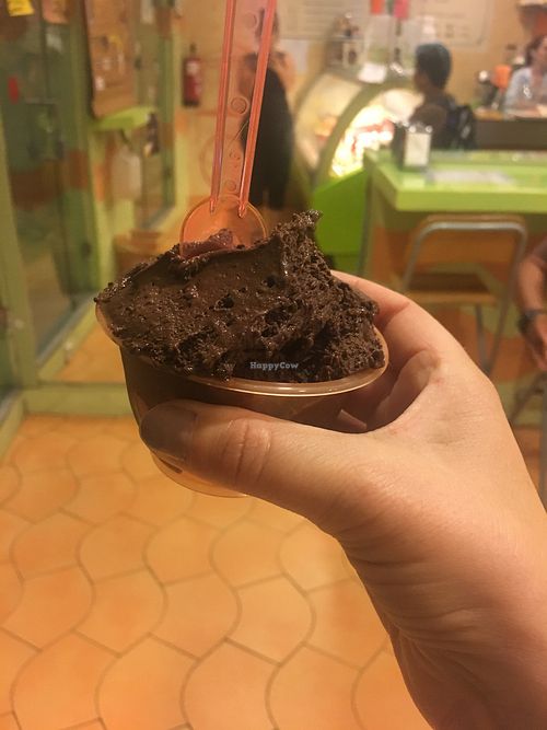 possibly the best vegan chocolate ice cream I've had! at Sani Sapori in Madrid