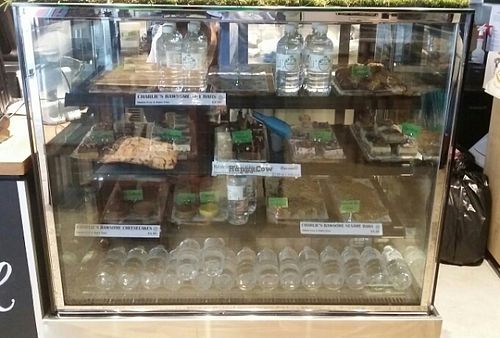 cakes/slices at Raw Squeeze at Lorna Jane in Newstead