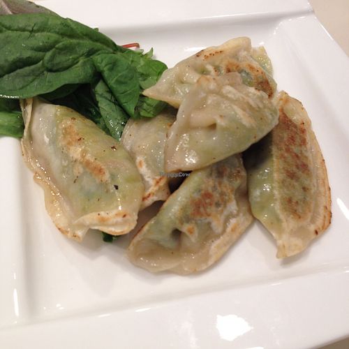 dumplings at VeGreen in Duluth