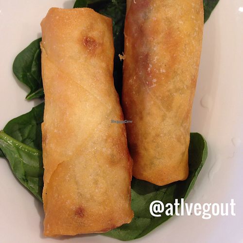 spring rolls  at VeGreen in Duluth