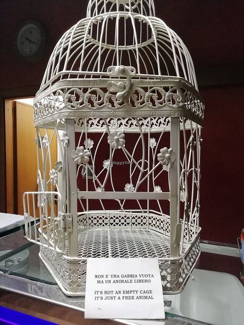 Love this at La Tecia Vegana in Venice