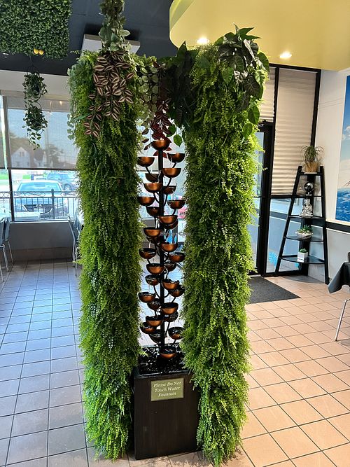   at The Lemon Tree in St Catharines