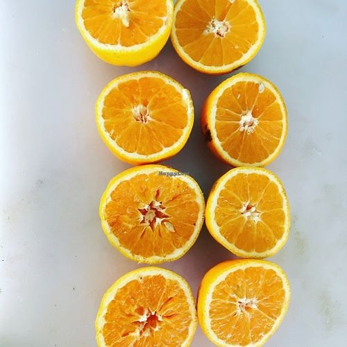 Fresh orange juice  at SUKA in San Juan