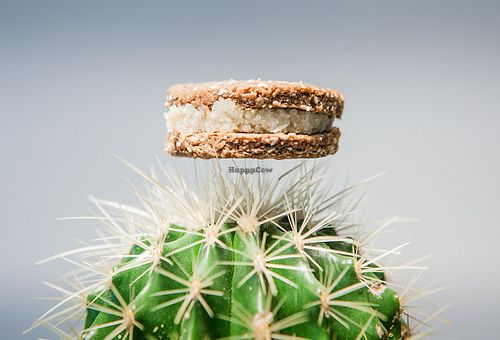 Higher state of vegan happiness at Raw To Go in Sofia