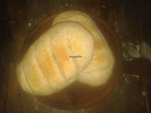 Crazy Diamond vegan food at Crazy Diamond - Viandas Veganas in Villa Gesell