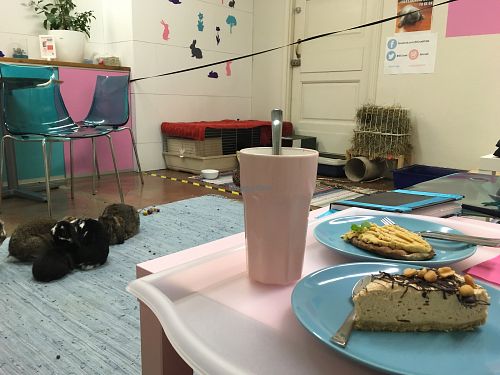 Rabbits and other sweet things at Pupukahvila - 3D Crush Cafe in Tampere