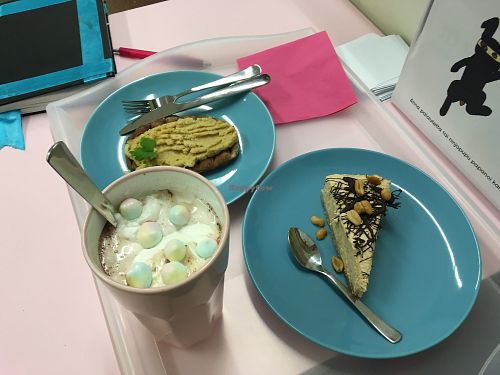 Hot cocoa with marshmallows, cheesecake & carelian pie at Pupukahvila - 3D Crush Cafe in Tampere