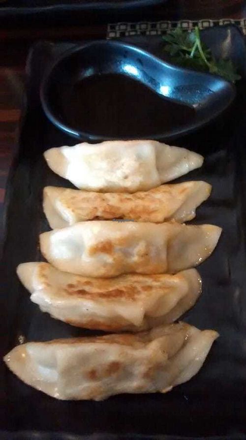 Vegetable gyoza at Nippon Kitchen in Glasgow