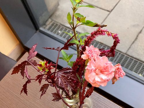 table decoration at denn's Biomarkt in Chemnitz